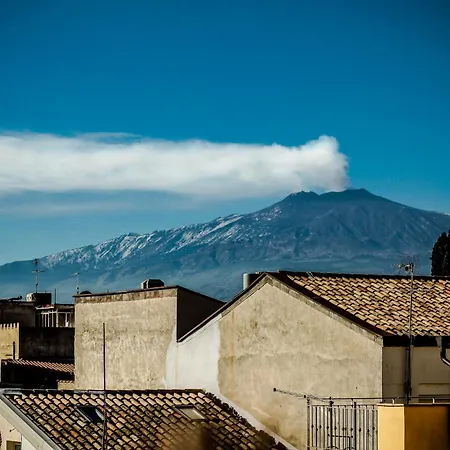 Il Gelsomino Center *